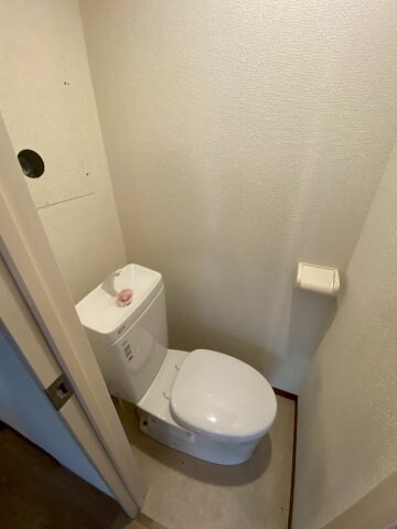物件内観写真6　(ゆったりとした空間のトイレです)