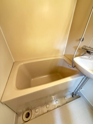 物件内観写真9　(落ち着いた空間のお風呂です)