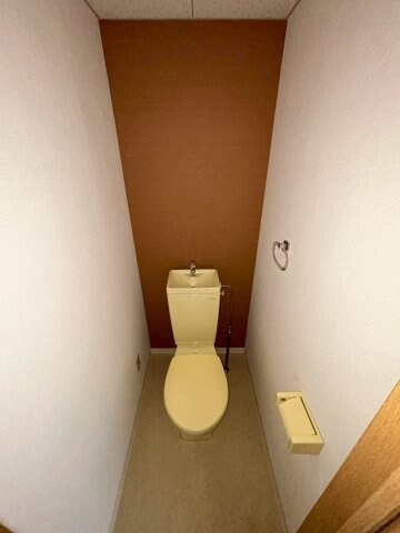 物件内観写真13　(落ち着いた色調のトイレです)