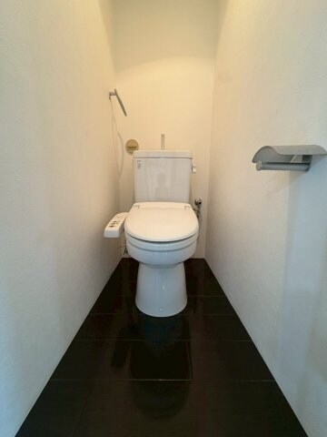 物件内観写真15　(落ち着いた色調のトイレです)