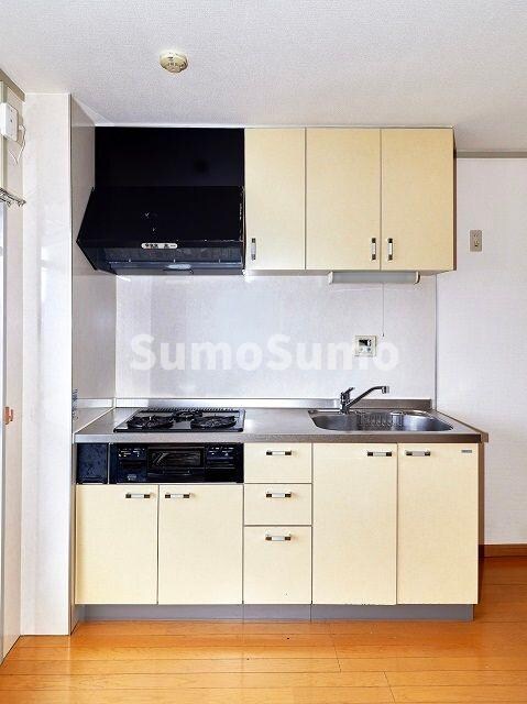 物件内観写真6　(コンパクトなキッチンで掃除もラクラク)