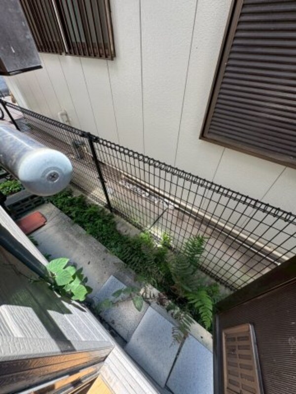庭