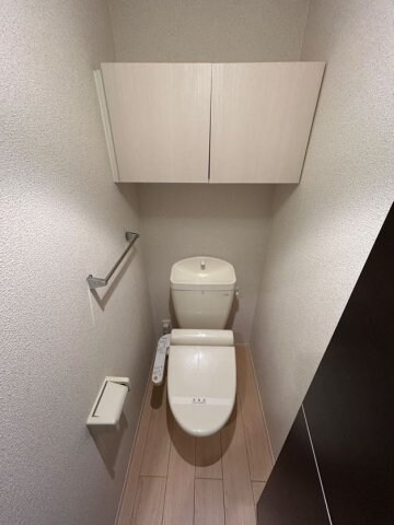 物件内観写真8　(落ち着いた色調のトイレです)