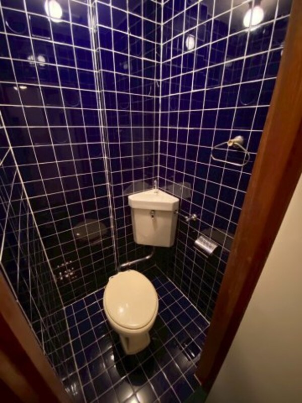 トイレ(落ち着いた色調のトイレです)