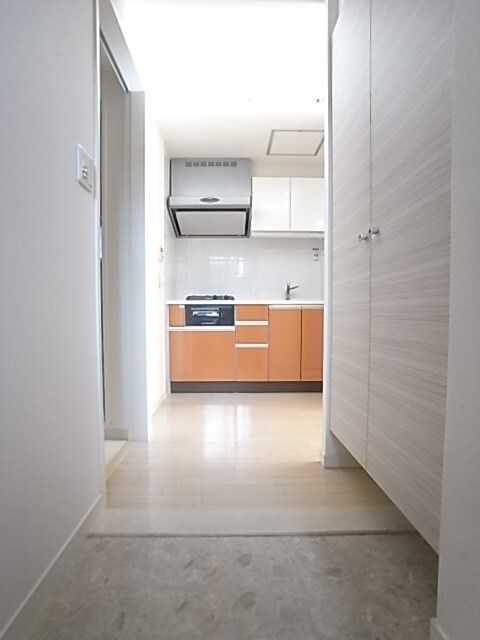 物件内観写真21　(落ち着いた玄関です)