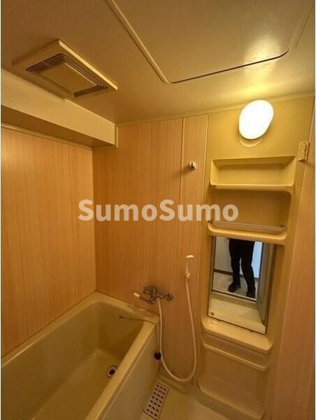 物件内観写真5　(お風呂で日々の疲れを落としましょう)