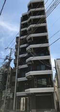 シャロン灘