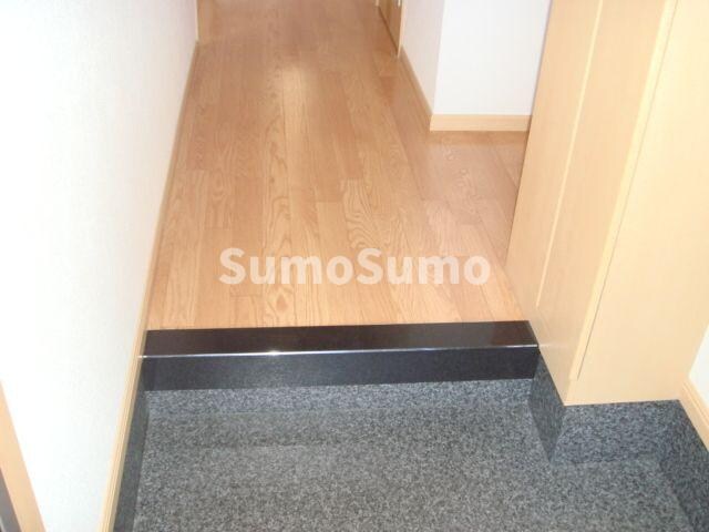 物件内観写真3　(毎日通る玄関はこちらです)