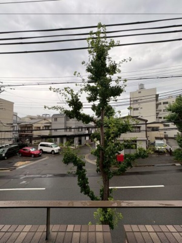 眺望