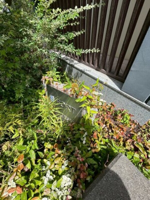 庭(お庭でゆったりと過ごせます)