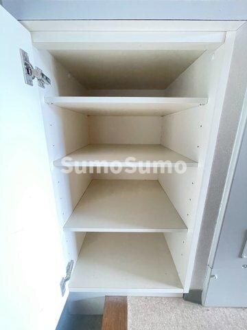 物件内観写真21　(便利な収納スペースです)