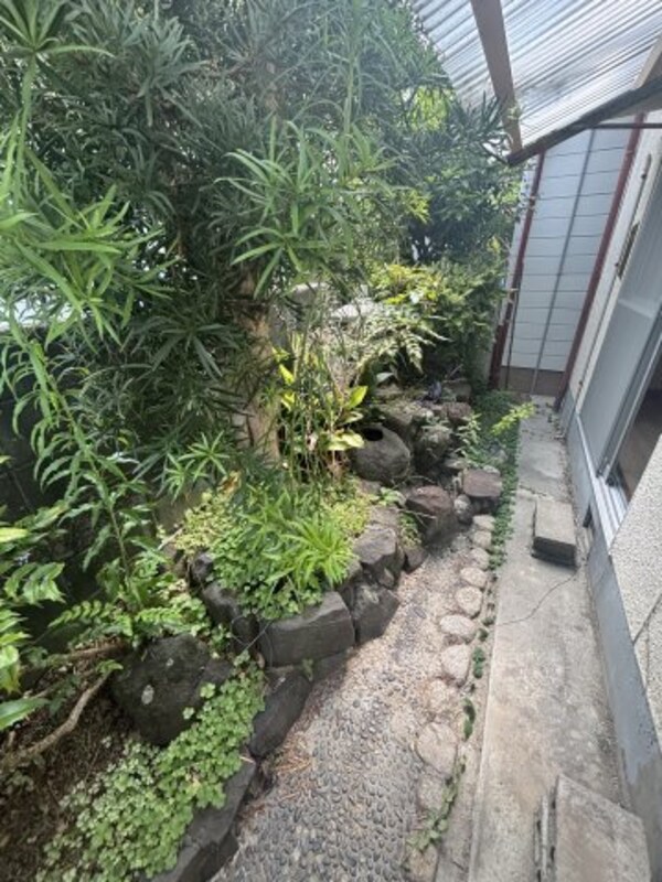 庭