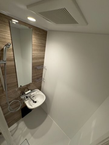 物件内観写真6　(さっと体を洗えるシャワールーム付です)