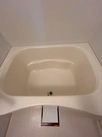 物件内観写真21　(落ち着いた空間のお風呂です)