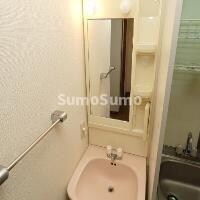 物件内観写真8　(明るい洗面所です)