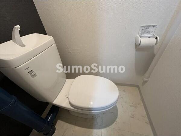 物件内観写真8　(落ち着いたトイレです)