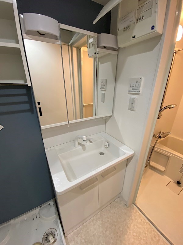 物件内観写真10　(朝の支度にも助かる、独立の洗髪洗面化粧台)