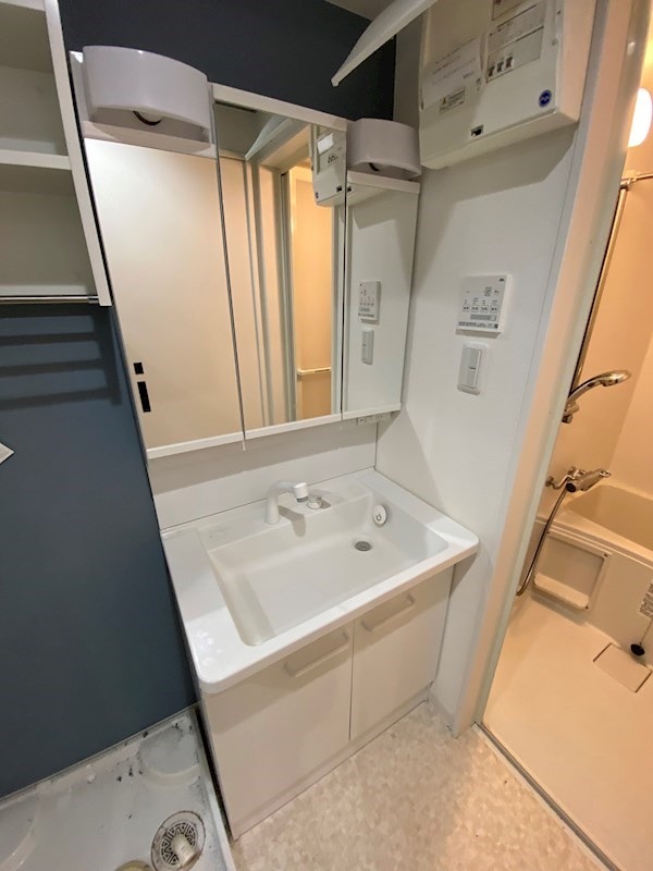 独立洗面台(朝の支度にも助かる、独立の洗髪洗面化粧台)