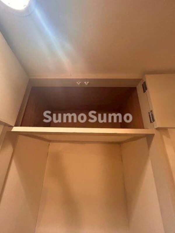 収納(大きなものも収納できそうです)