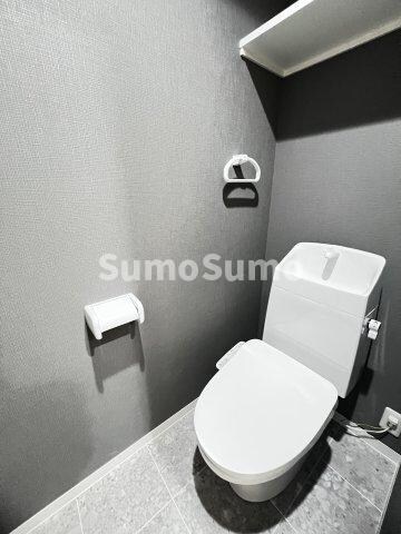 物件内観写真9　(落ち着いた色調のトイレです)