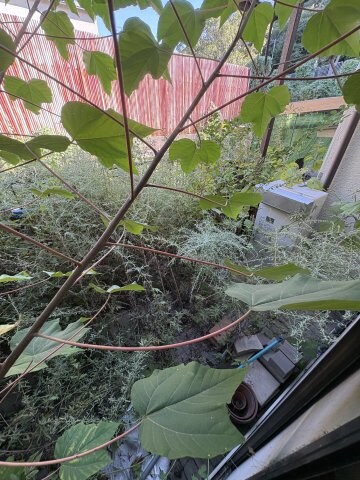 物件内観写真9　(バルコニーがあります)