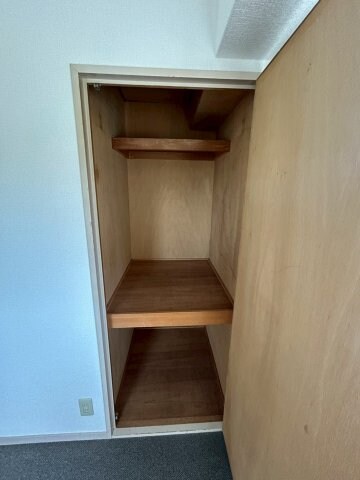 物件内観写真10　(十分な収納スペースがあります)