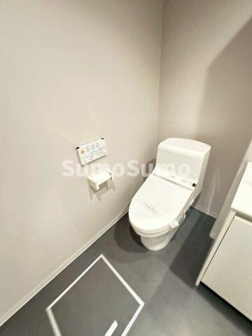 物件内観写真9　(落ち着いた色調のトイレです)