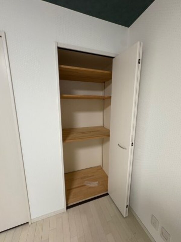 収納(大きなスペースがあり、収納には困りません)
