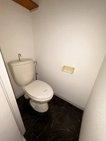 物件内観写真18　(落ち着いた色調のトイレです)