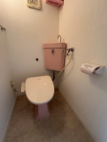 物件内観写真15　(落ち着いたトイレです)