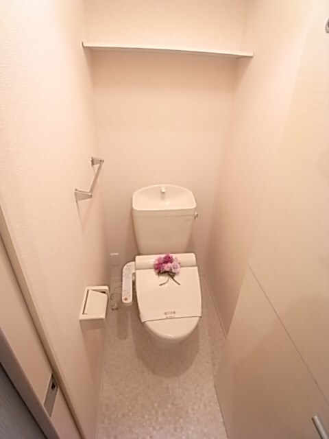 物件内観写真10　(清潔感のあるトイレです)
