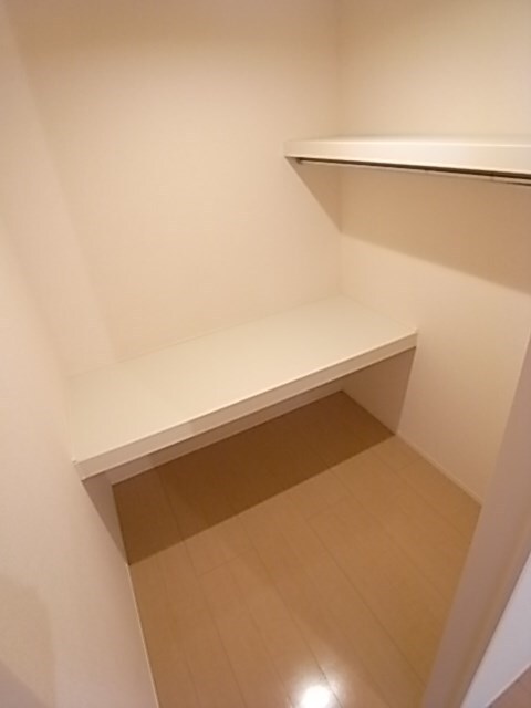 物件内観写真22　(便利な収納スペースです)