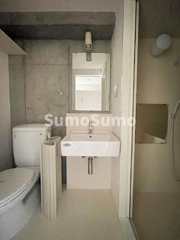 洗面・脱衣所(広い洗面スペース)