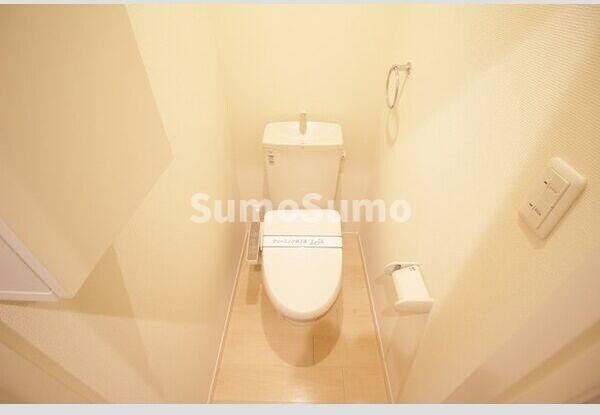 物件内観写真6　(落ち着いた色調のトイレです)