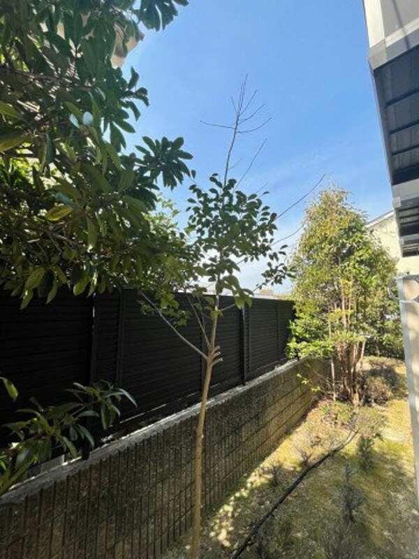 庭