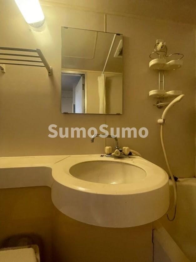 物件内観写真11　(朝の支度にも助かる、独立の洗髪洗面化粧台)