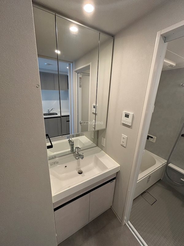 物件内観写真11　(明るい洗面所です)