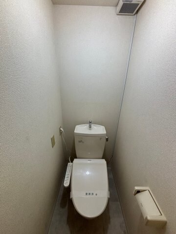 物件内観写真11　(落ち着いたトイレです)