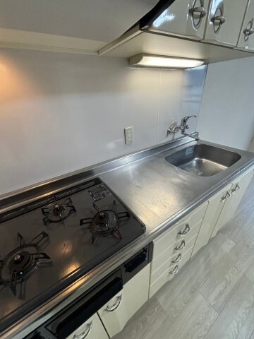 物件内観写真18　(コンパクトなキッチンで掃除もラクラク)