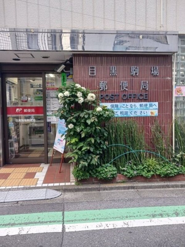 周辺環境