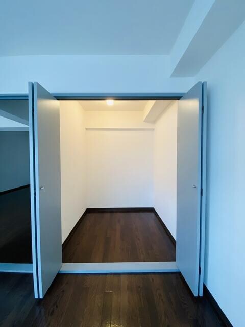 物件内観写真12　(ウォークインクローゼットはぜ… )