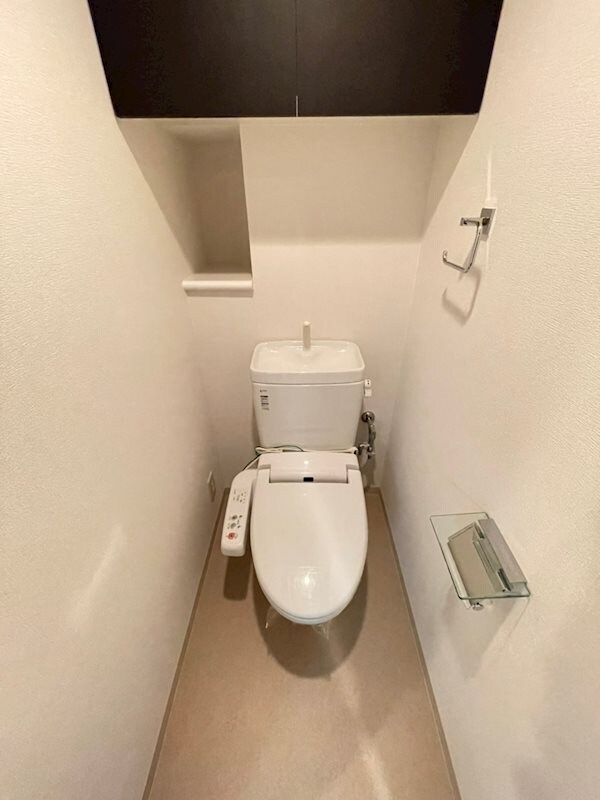 物件内観写真11　(落ち着いたトイレです)