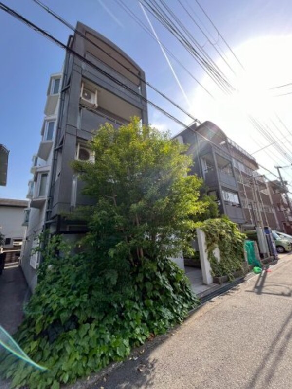 庭