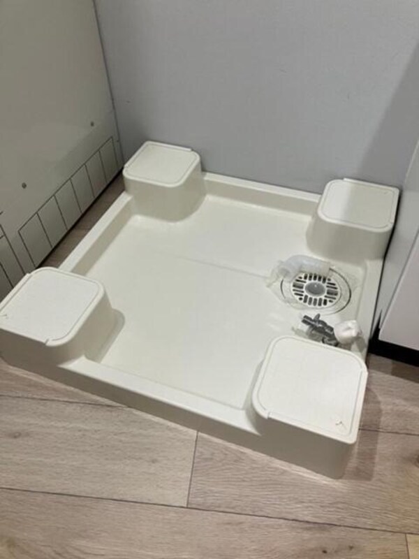 その他( )