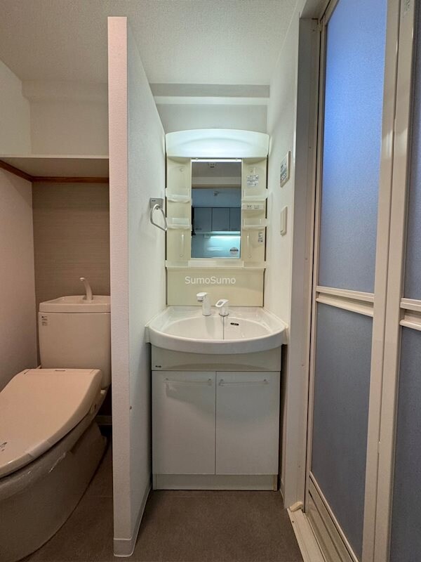 物件内観写真11　(明るい洗面所です)