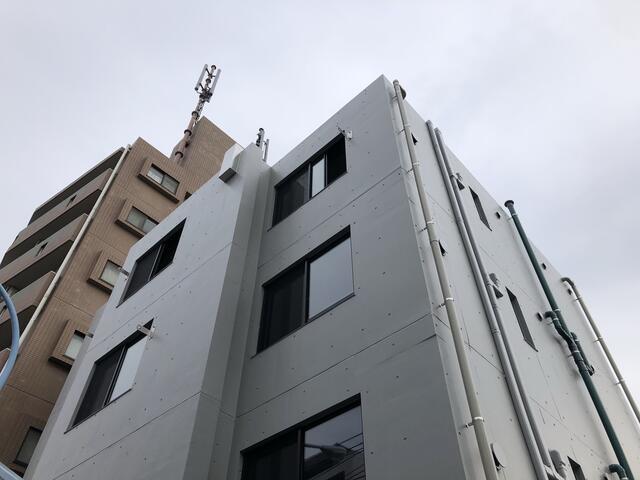 ＢＥＬ　ＦＩＯＲＥ　ＳＡＮＣＨＡ