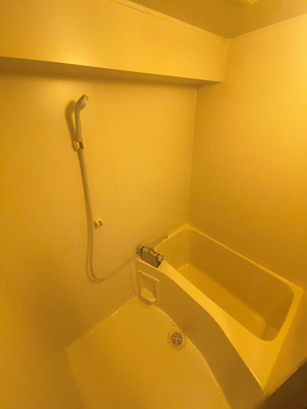 物件内観写真8　(お風呂で日々の疲れを落としましょう)