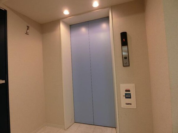 その他( )