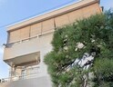 碑文谷日東