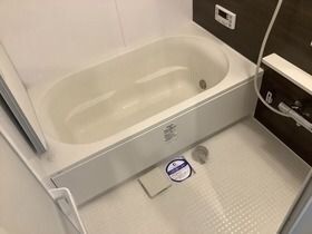 物件内観写真4　(ゆったりとスペースのある洗面所)